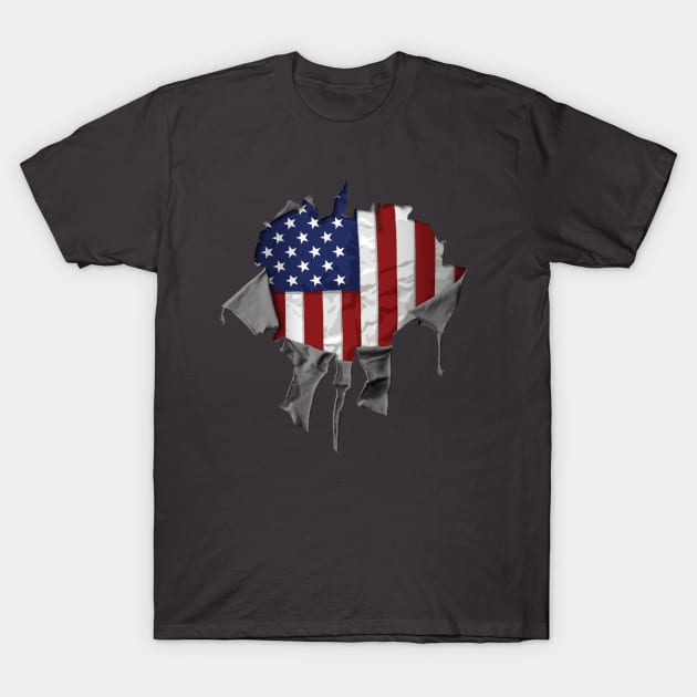 Patriotic American Flag T-Shirt by eBrushDesign